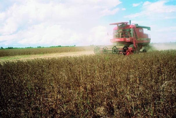 Plantação de soja da Monsanto. Empresa terá de ressarcir produtores por cobranças indevidas (Foto: Divulgação) 